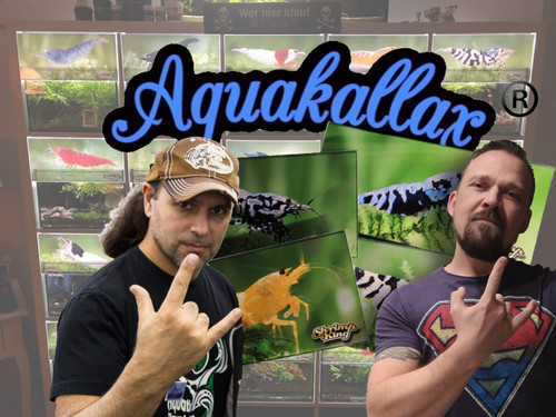 Aquakallax lichtblende - aquakallax,