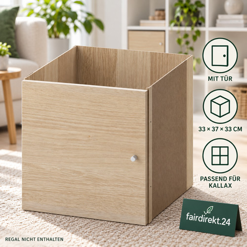 Ikea kallax einsatz mit tür - einsatz,